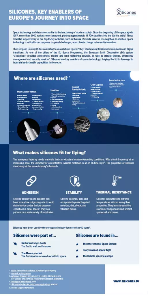 Silicones Space Infographic